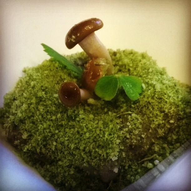 Appetiser Mushroom Pate