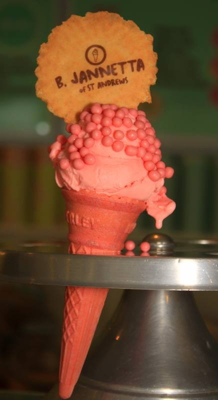 Pink Cone Jannettas Perth