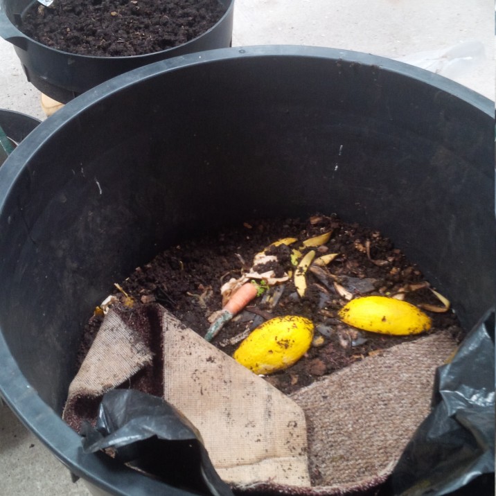 Harvest Magic Compost makes great soil!