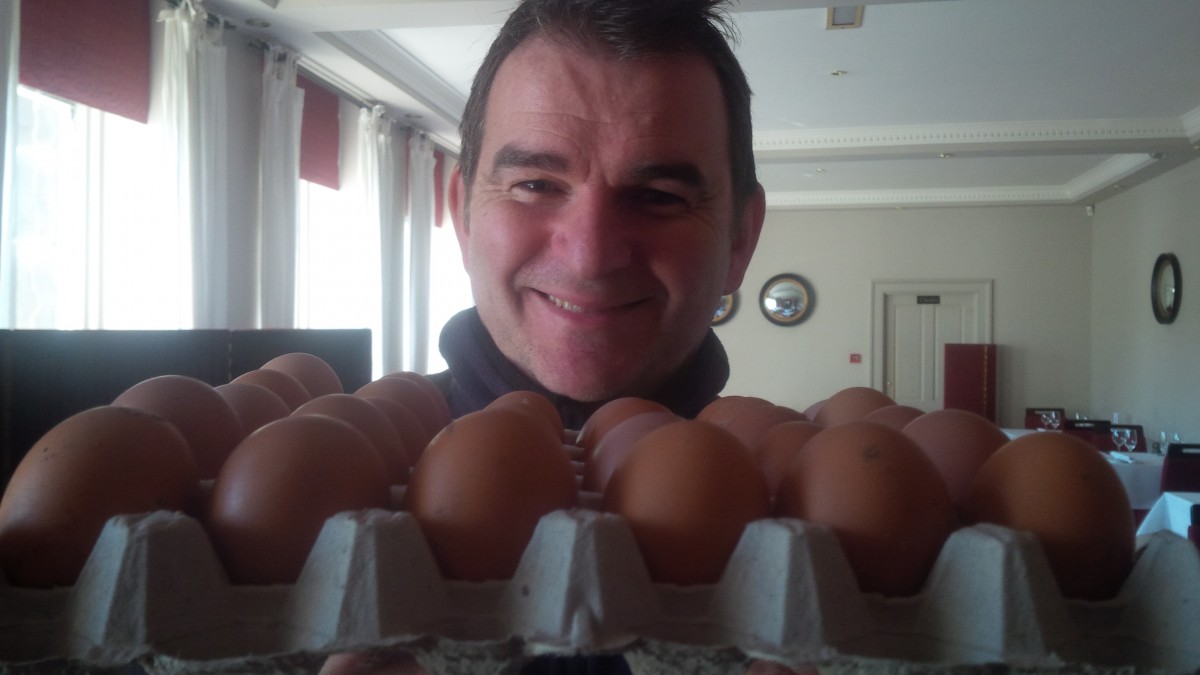 HM Scott Brown Eggs