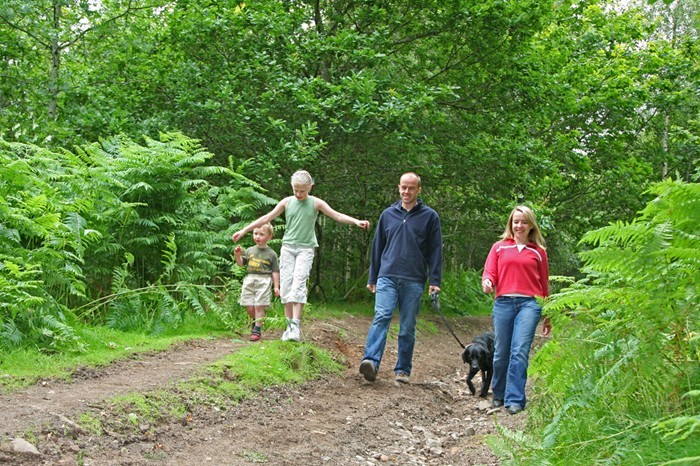 The wonderful Stride for Life walks can be found weekly throughout Perthshire and this Tuesday walk is a great way to explore a bit of Alyth with other people in the area.