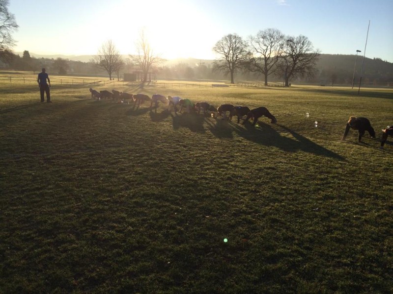 Wellbeing FitSteps small group training