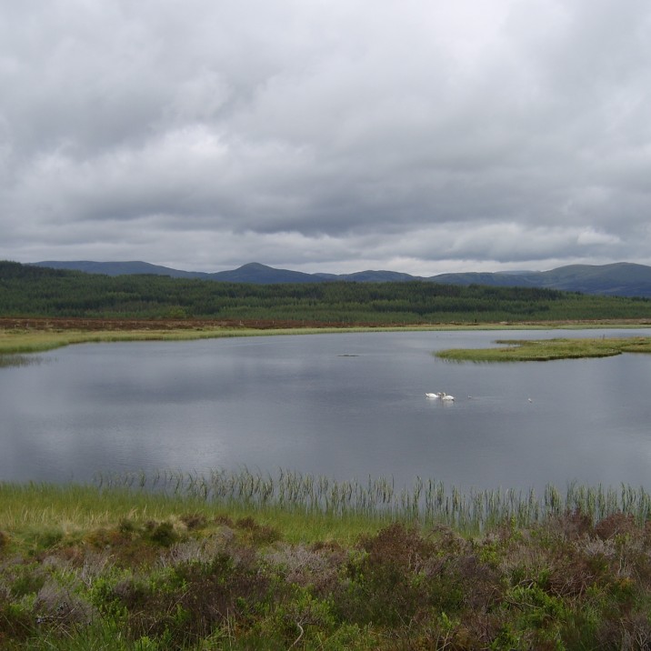 Loch Curran in Perthshire - a spectacular example of Scottish countryside.