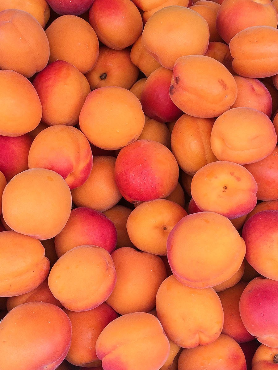 Rustic French Apricot Tart