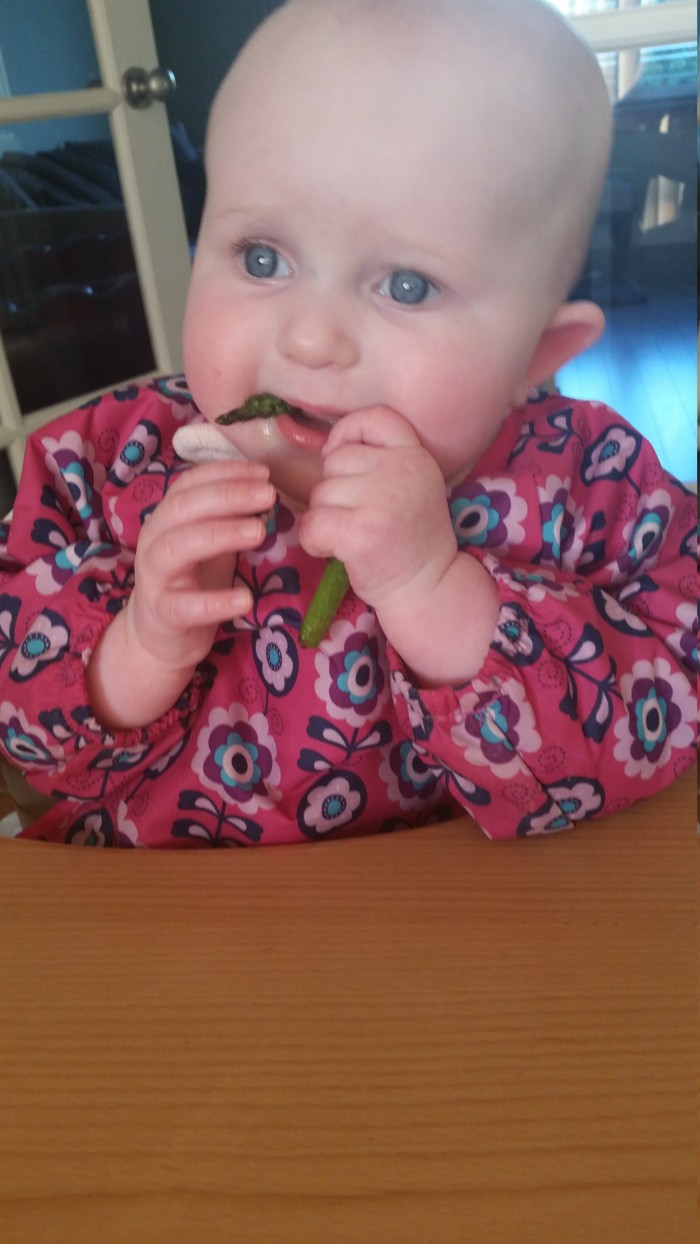 Baby Led Freya asparagus