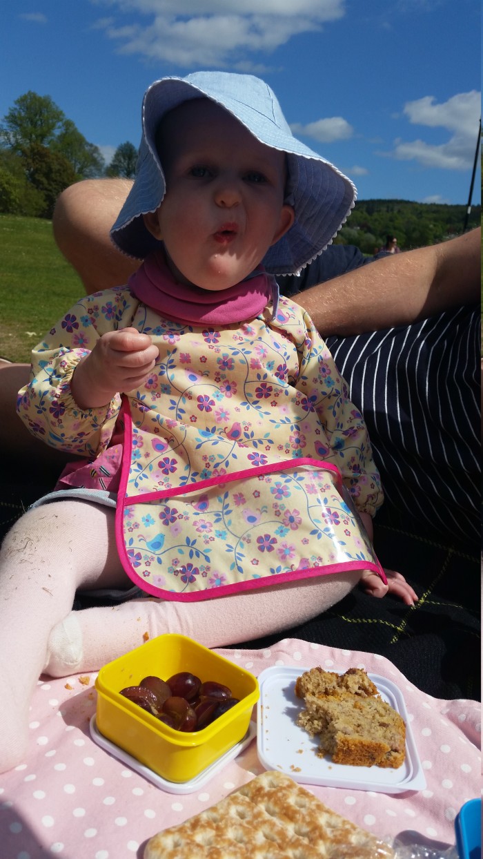 Baby Led Freya picnic