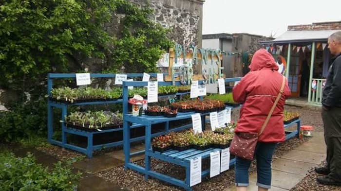 PKAVS Walled Garden - Second Plant Sale