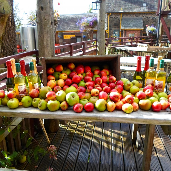 So. Many. Apples.