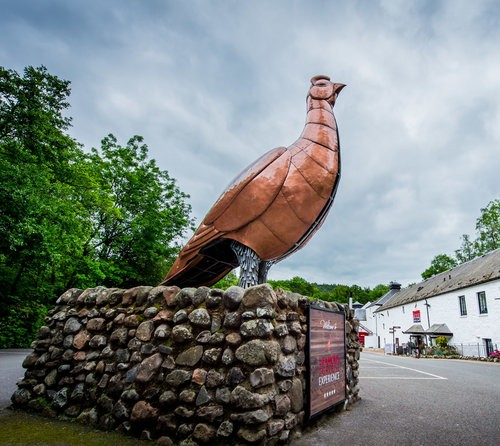Famous Grouse in Perthshire