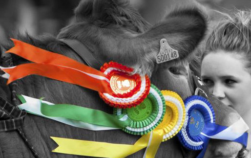 Perth's Annual Agricultural Show