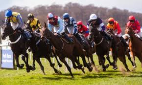 Enjoy All Things Scottish!