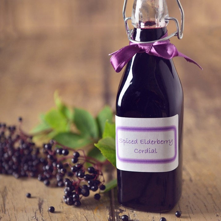 Elderberry and Apple Jelly Recipe
