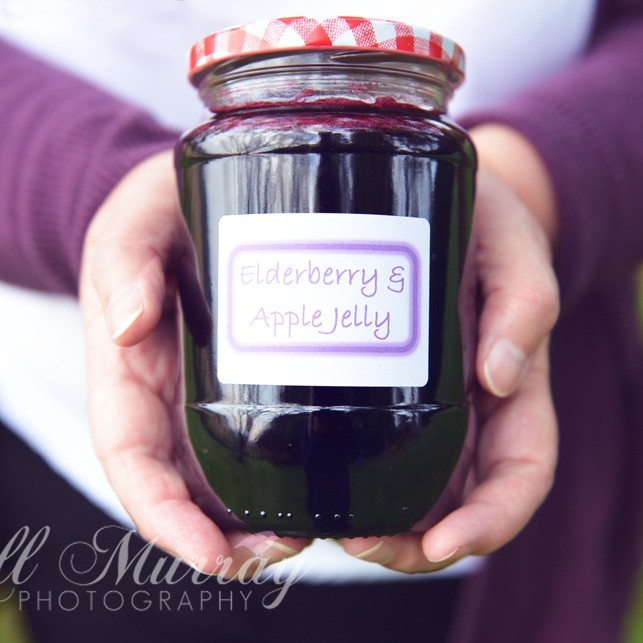 Elderberry and Apple Jelly Recipe