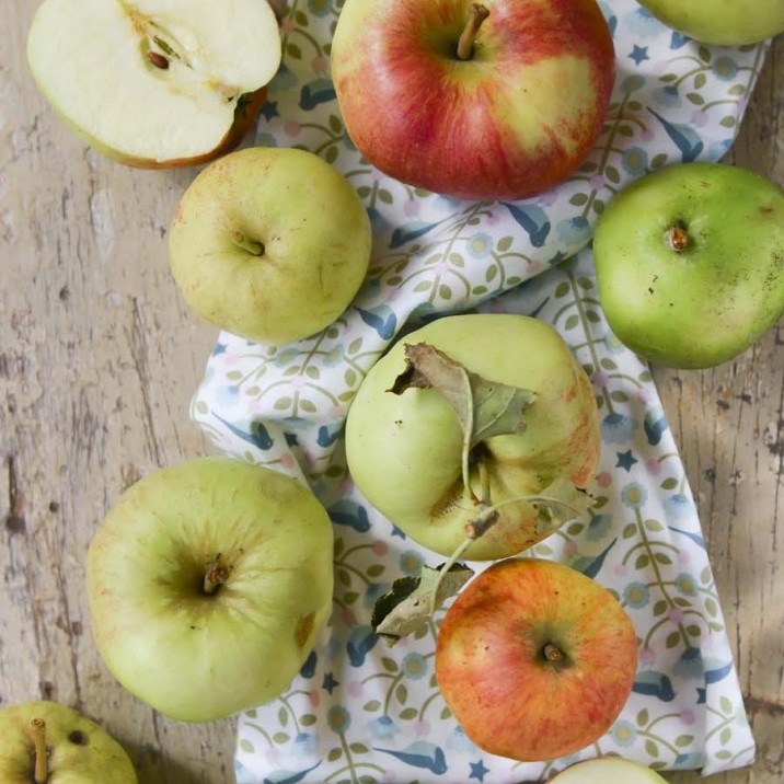 Chopping the apples ready to become doughnuts