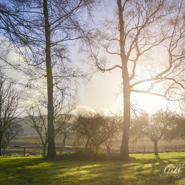 Winter Walks & Hearty Beef Stew