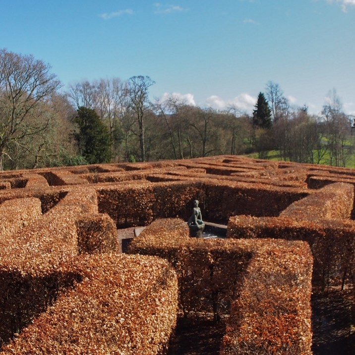 The Maze at Scone Palace in Perthshire