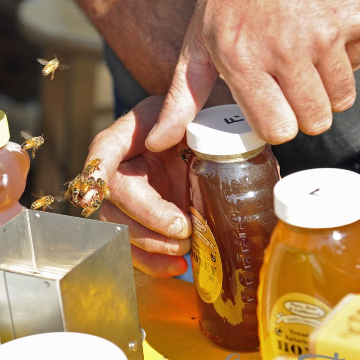 Breakfast Rice with Honey & Cranberries