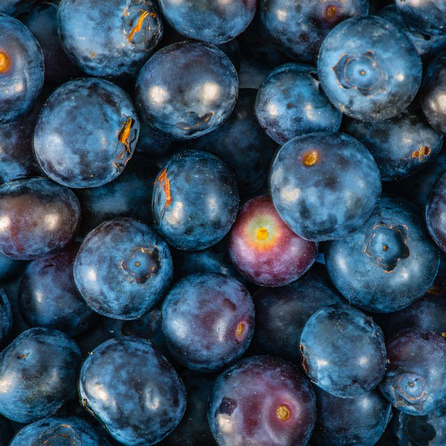 Blueberry and Marscapone Tart
