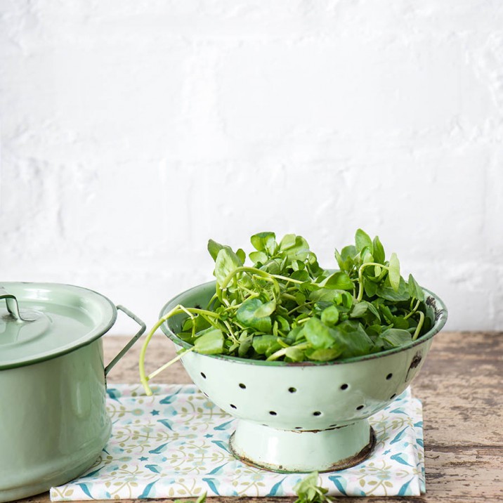 Watercress Soup with a Creamy Swirl