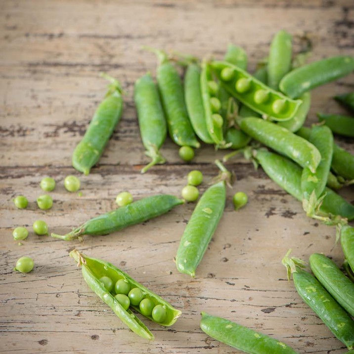 Pea and Ricotta Tartine