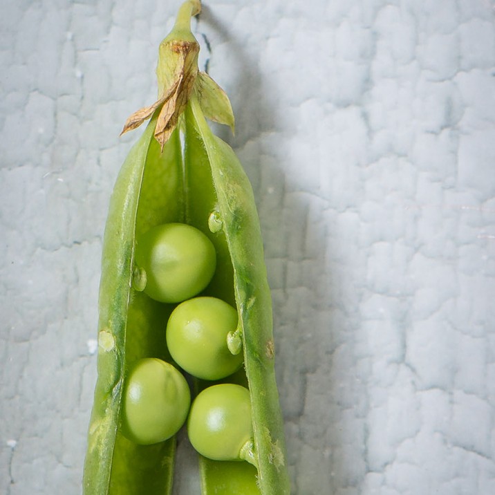 Pea and Ricotta Tartine
