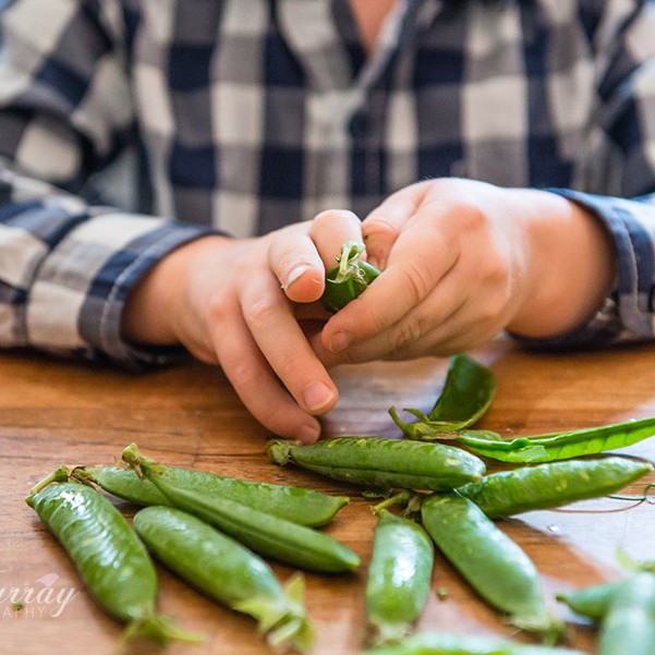 Pea and Ricotta Tartine