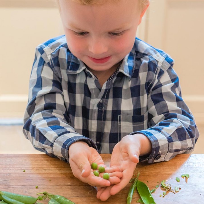 Pea and Ricotta Tartine