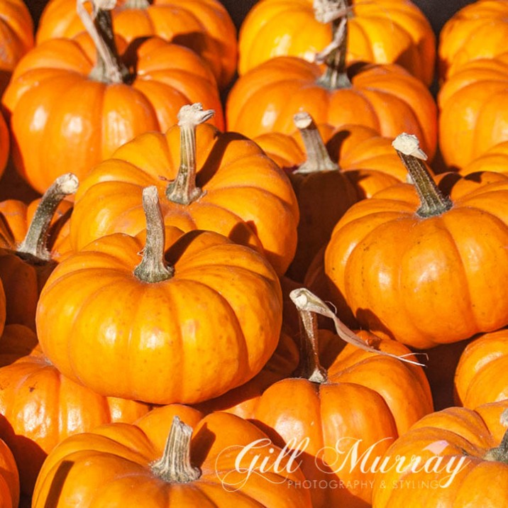 PUMPKIN LOAF array of Pumpkins