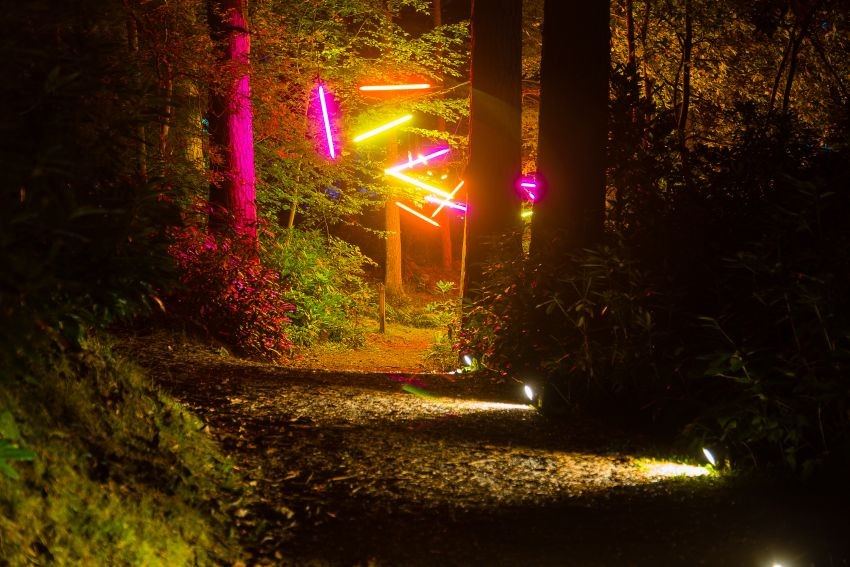 Enchanted Forest 2015