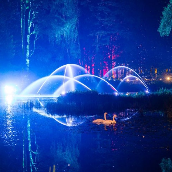 Enchanted Forest 2015