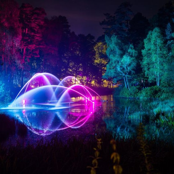 Enchanted Forest 2015