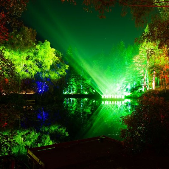 Enchanted Forest 2015