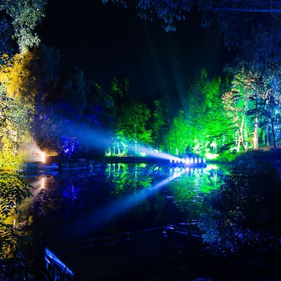 Enchanted Forest 2015