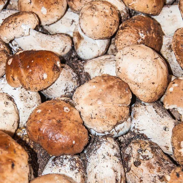 Ingredients for Tagliatelle