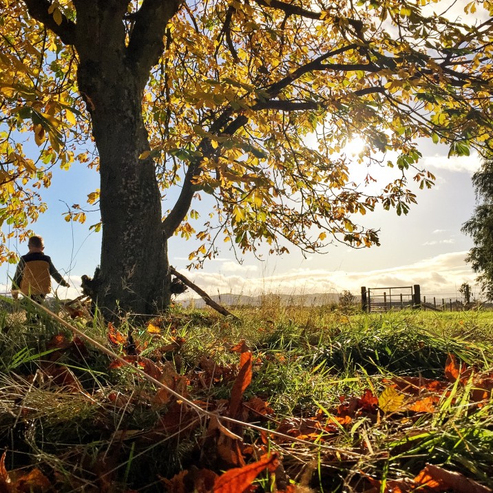 Fields are alive with colour