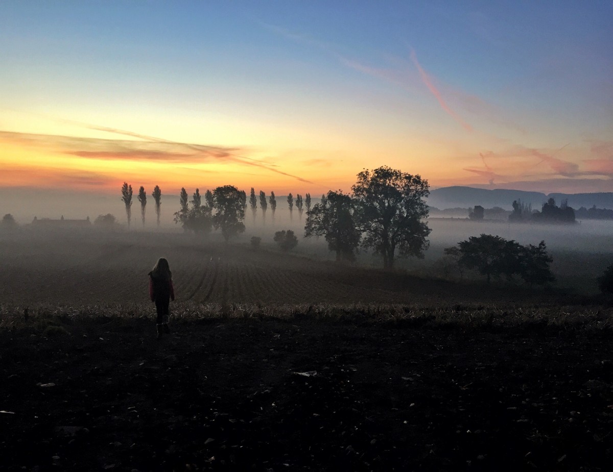 Sunrise through the fog