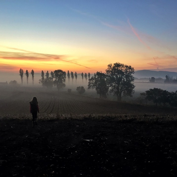 Sunrise through the fog