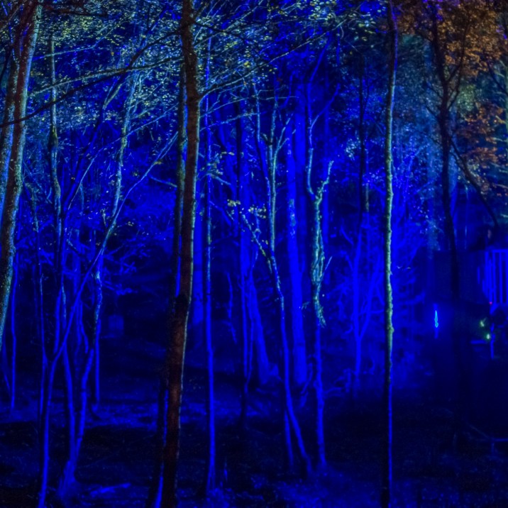 The Enchanted Forest is one of Perthshire's most popular winter events.