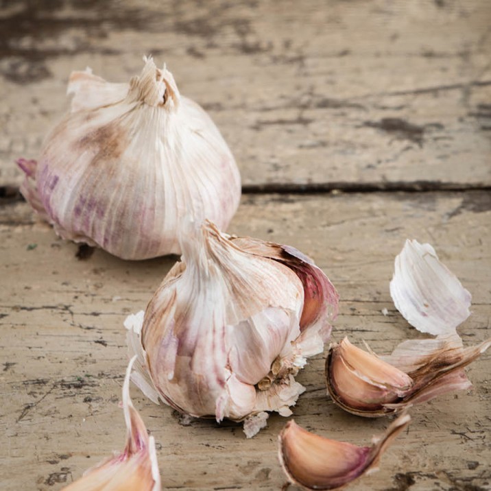 Tasty meatballs to warm the winter nights.