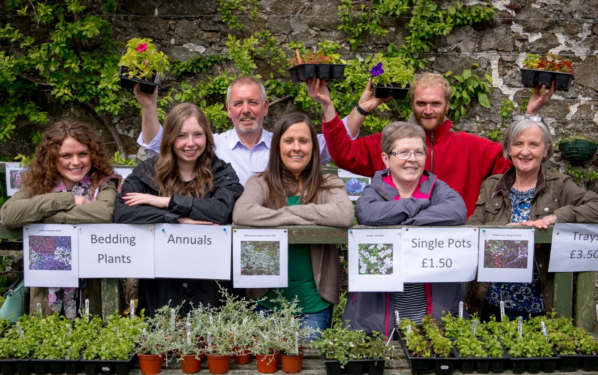 Plant Sale at the Walled Garden.
