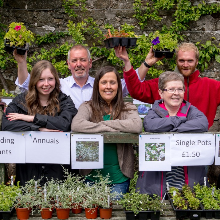 Plant Sale at the Walled Garden.