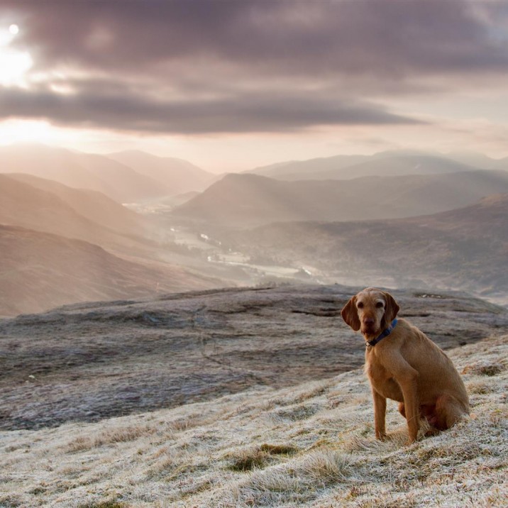Tom Fincher - Glen Lyon