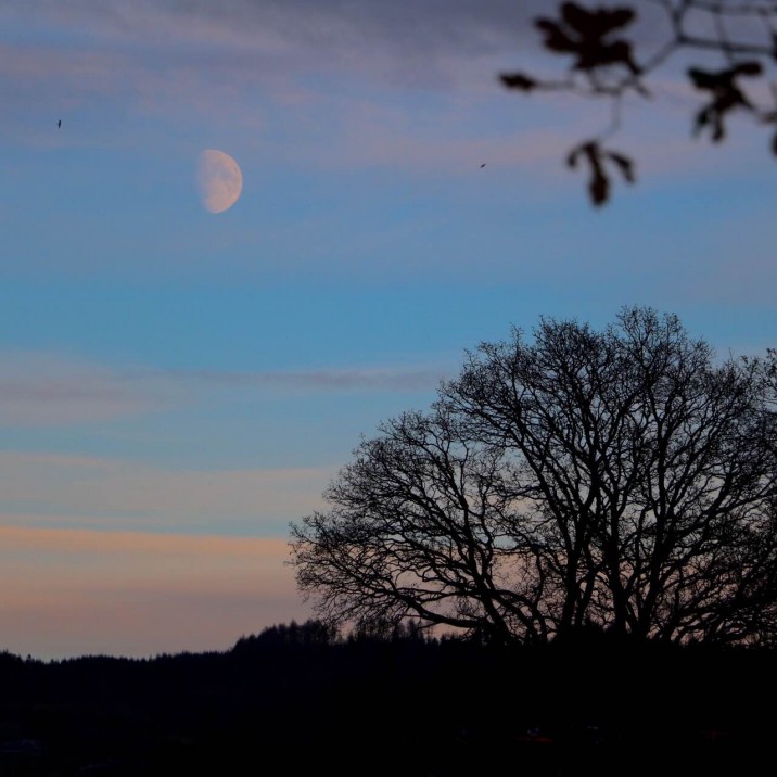 Hannah Ketts - Winter Evening