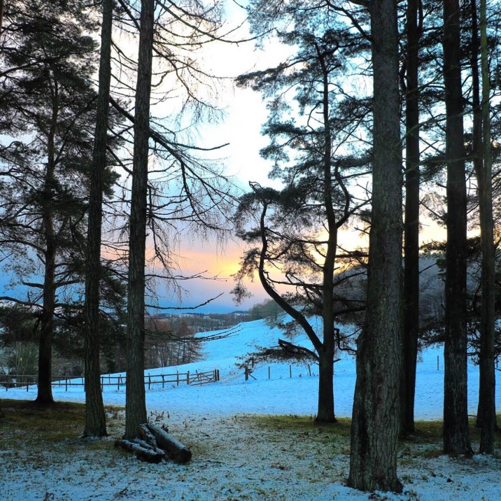 Hannah Ketts - Kinnoull Hill