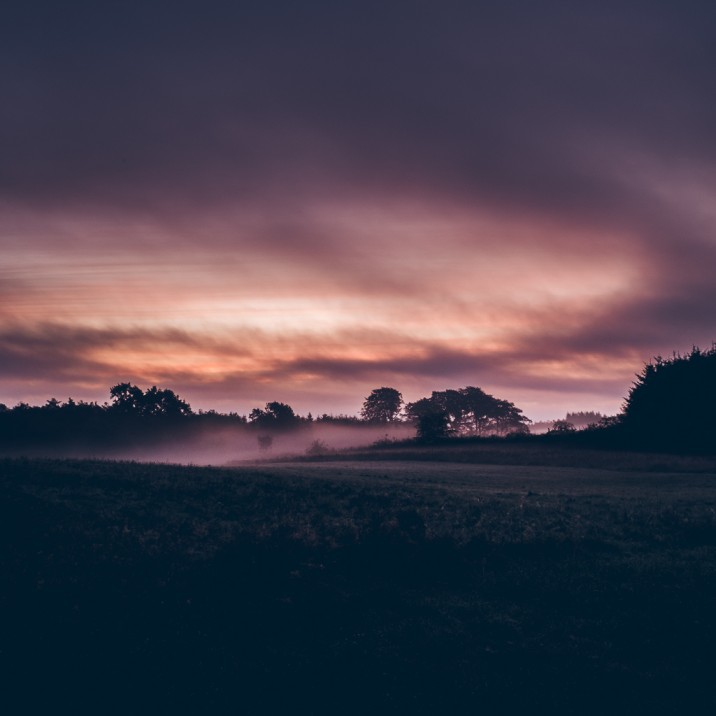 Craig Anderson - Rolling mist at Redmyre