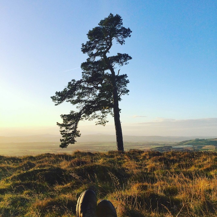 Ian G Black - Lonesome Tree