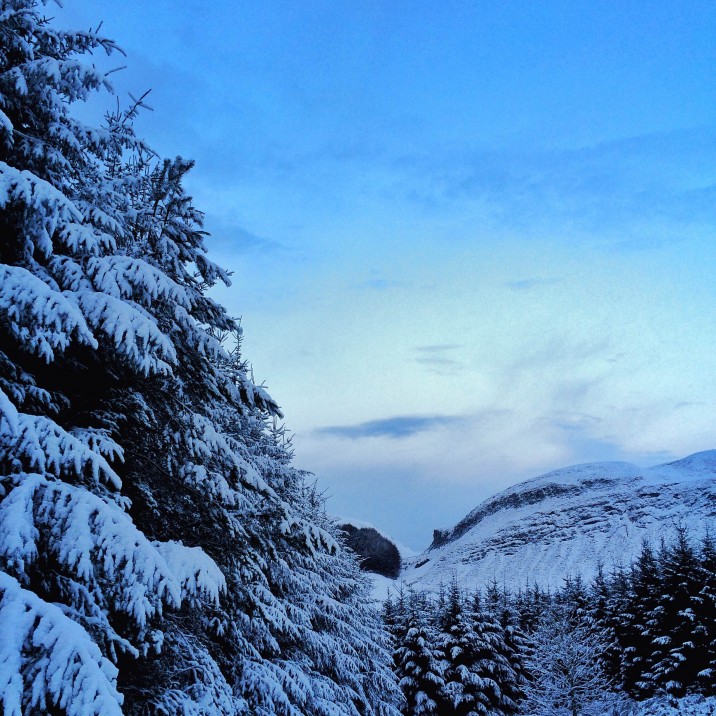 Ian G Black  - Winter Frost