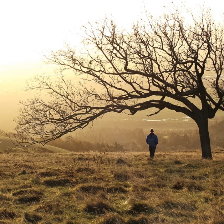 Kristy Ashton - Sidlaw Sunrise