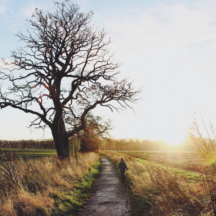 Kristy Ashton - Favourite Tree