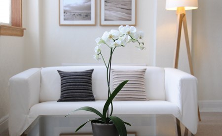 Wellbeing Althos waiting room